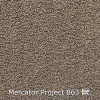 Mercator Project-Econyl 863